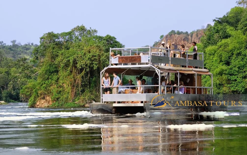 Rwanda national parks: Gorillas, classic savanna safari, chimpanzee forest, canopy routes, primates, and birdlife.
